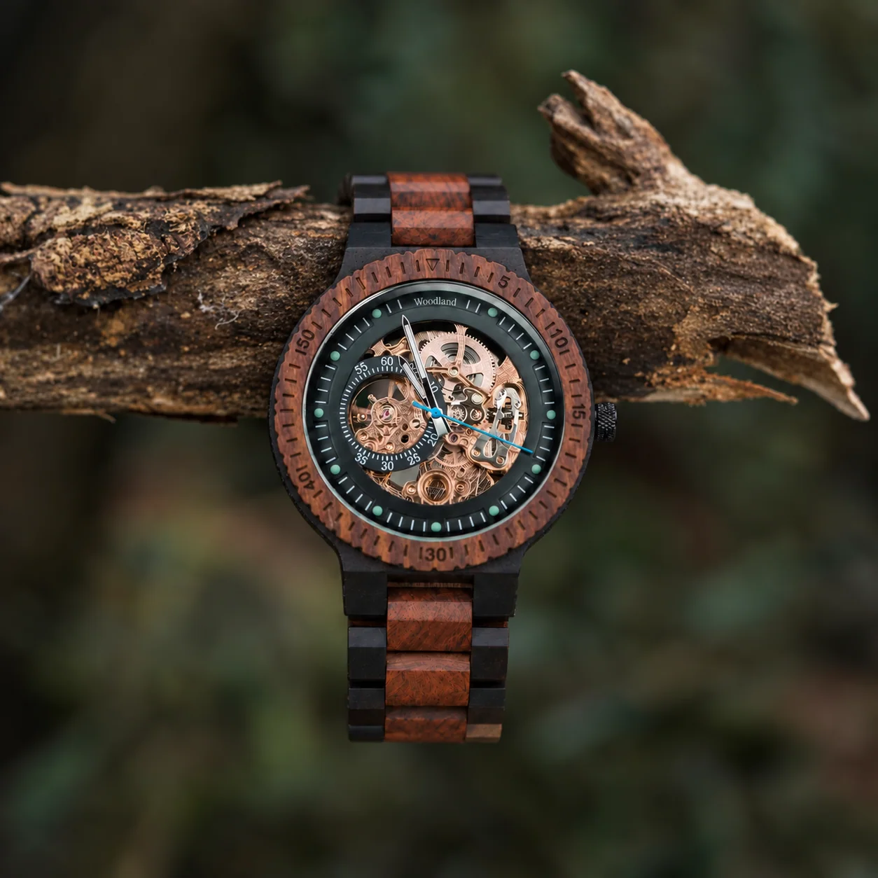 Eclipse walnut watch hanging over a tree branch in a woodland setting